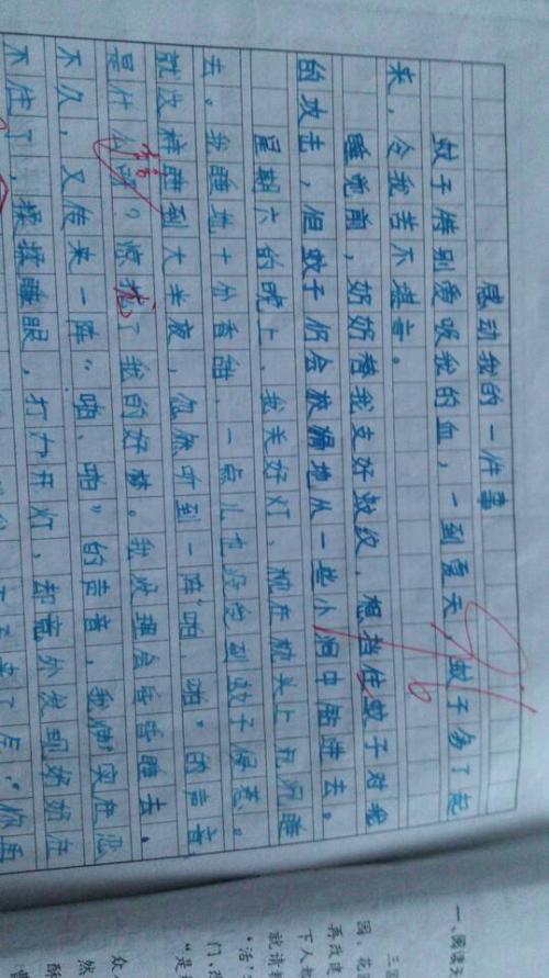 我的新老师作文500字