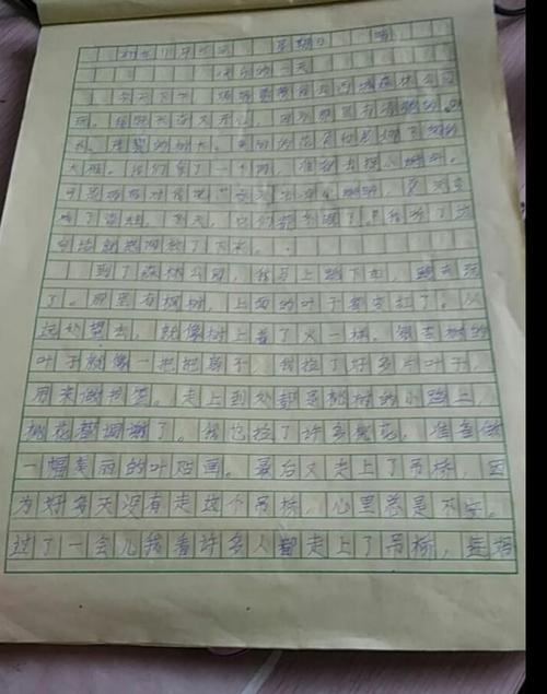 快乐的一天组成