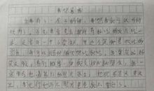 我和我的班集体作文