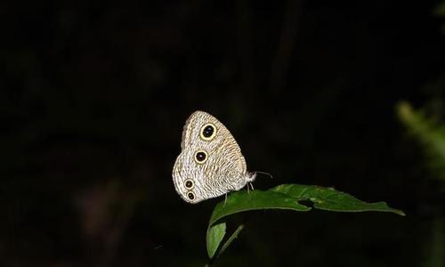 注意你学到的一切