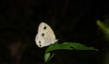 处处留心皆学问读后感