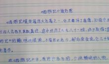 写雷阵雨的作文450字