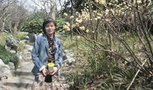 春游长风公园作文