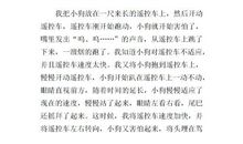 动物观察日记300字