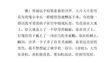 关于下雪的作文200字