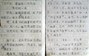 我们的二年级作文