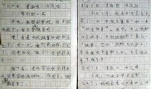 我们的学校二年级作文