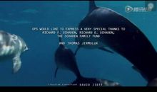 纪录片海豚湾影评