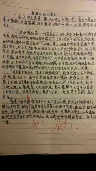 红楼梦第一次阅读