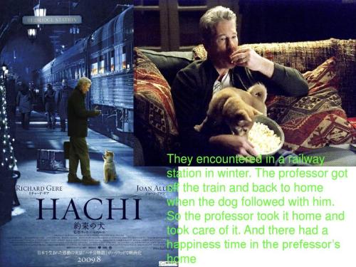 忠犬八公英文影评