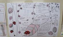 智慧人生读后感