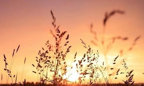 让信念照亮生活组成