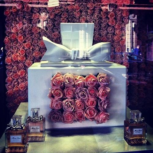 今生无悔，来世无悔