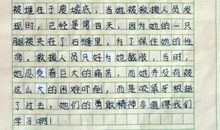 我的同学作文300字