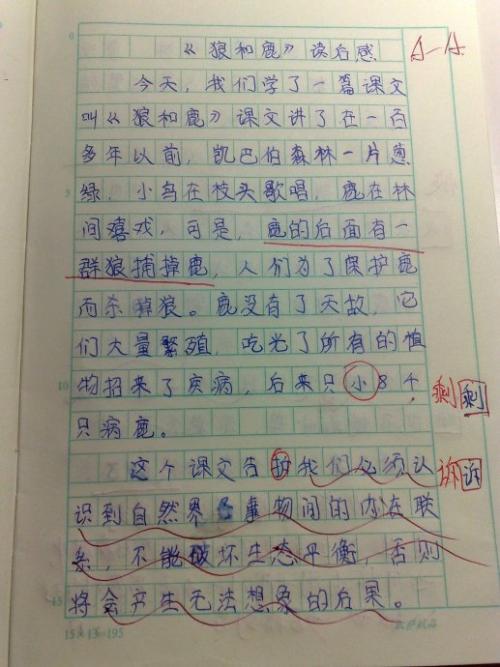 散步后100个字