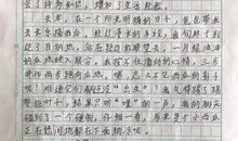 成长中的一件事作文