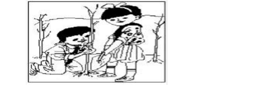 看图片写词植树