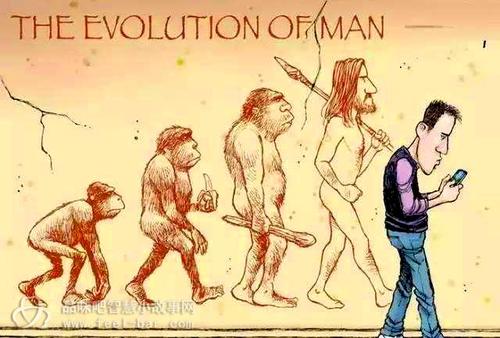 哲学故事：把握生命的分支