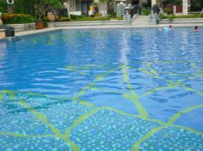 在游泳池里游泳的成分