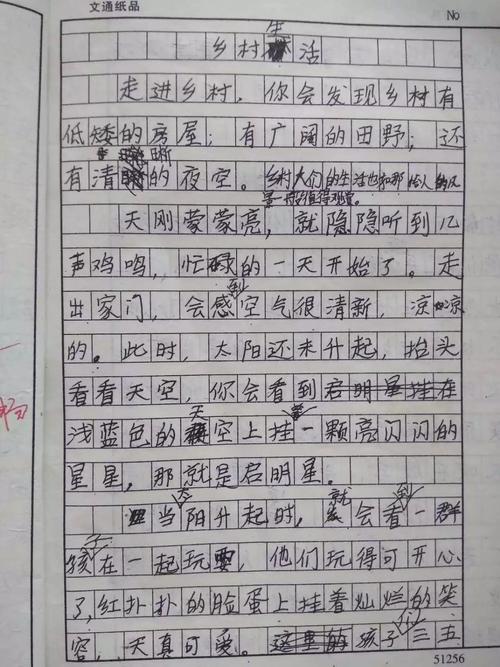 农村生活构成400字