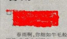 春雨二年级作文