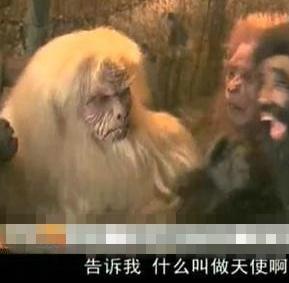 令人震惊的报价