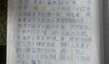 最感动的事作文