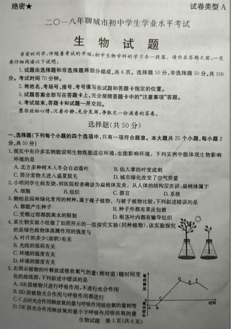 2018山东聊城高中入学考试全场作文：看花（1）