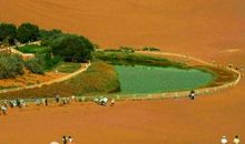 沙漠隐泉读后感