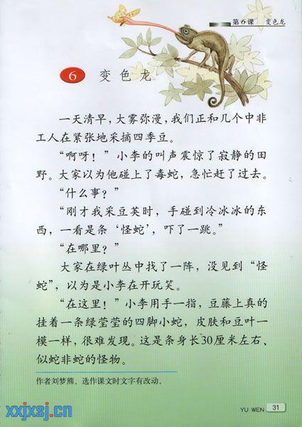 五年级龙的作文