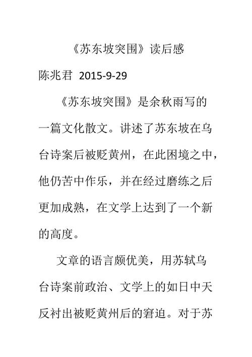 关于苏东坡突破的思考