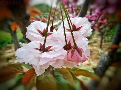 阅读后的美好时刻