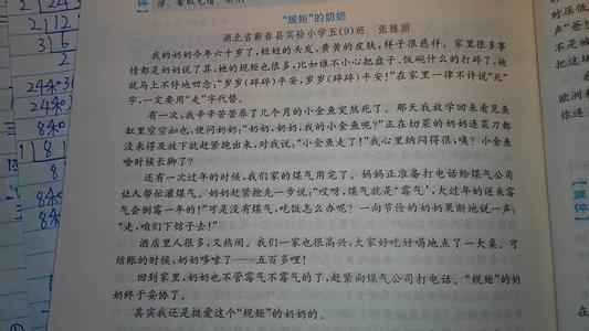 我的老师300字
