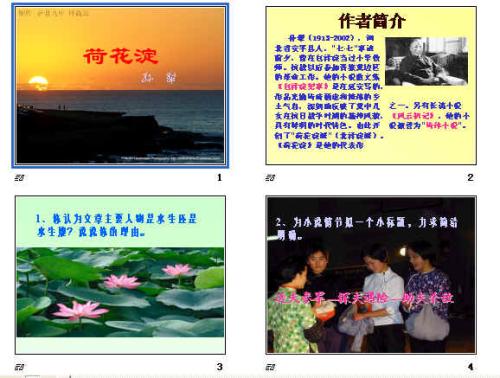 看完莲花湖400字