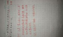 小学生放风筝作文