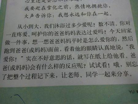 我爱我的老师作文