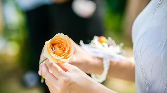 痛苦是别人给的，伤害对自己有好处