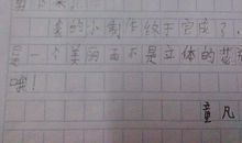 我的小制作二年级作文