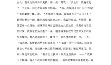 我的那一片天空作文600字