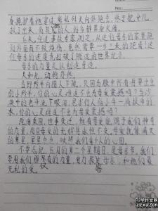 家居保暖作文700字