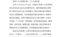 十八大报告观后感