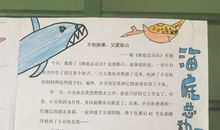 海底总动员读后感