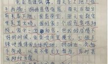 小学生作文开学了