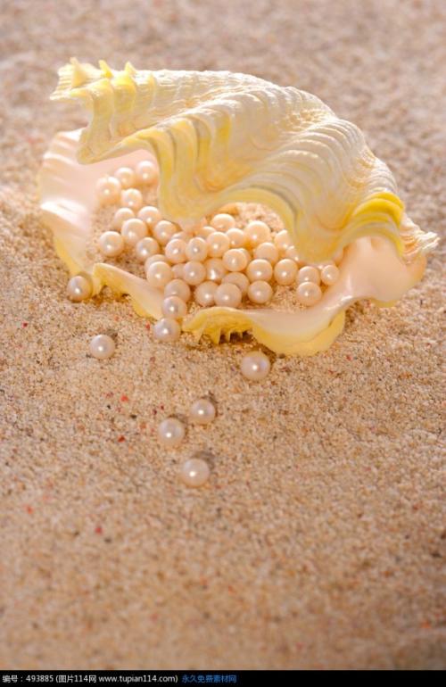 哲学故事：沙子和珍珠