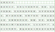 百合花作文400字