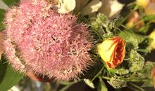 小公主萨拉读后感