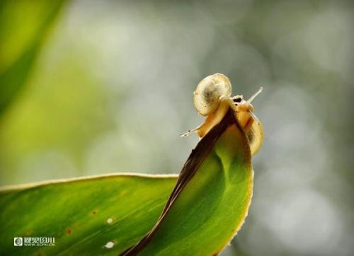经典句：天空不老，爱难分