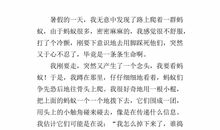 我发现了蚂蚁的秘密400字作文