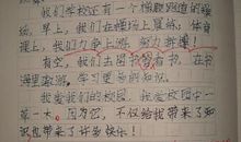 庆元旦作文300字
