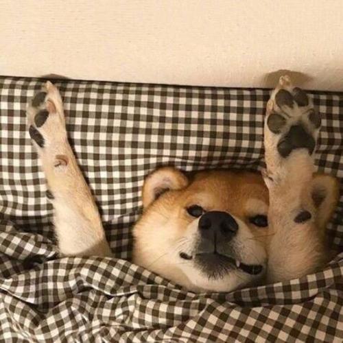 经典语录：天空和海洋辽阔，成为最强的泡沫